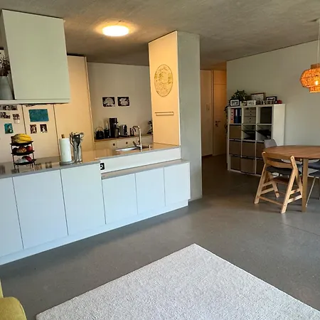 Traumwohnung In Mit Aussicht Und Parkplatz Zürich